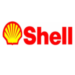shell_1519305557 (1)